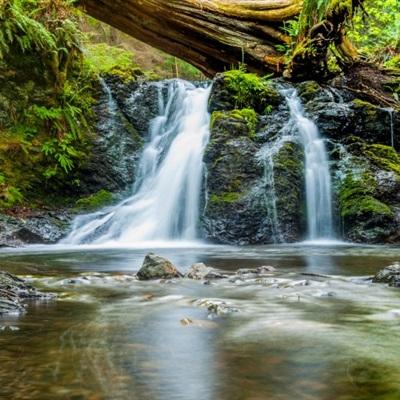 im电竞官网app下载截图