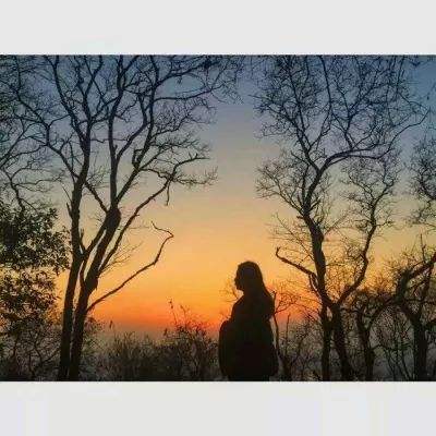 im电竞官网app下载